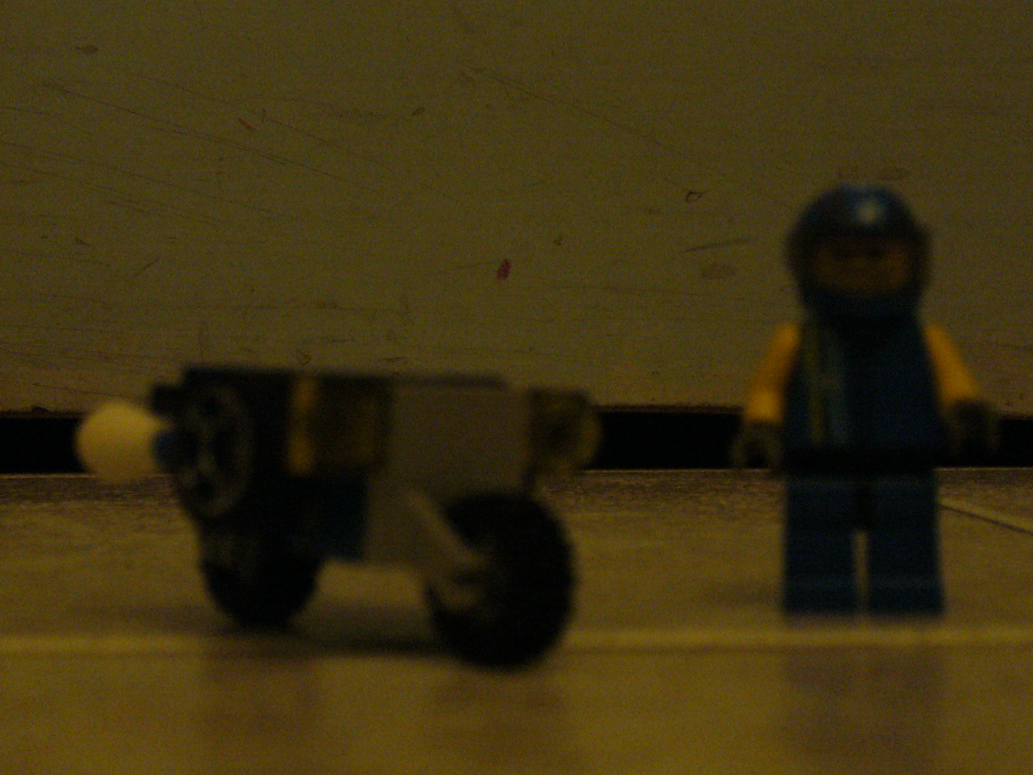 p1000304.jpg