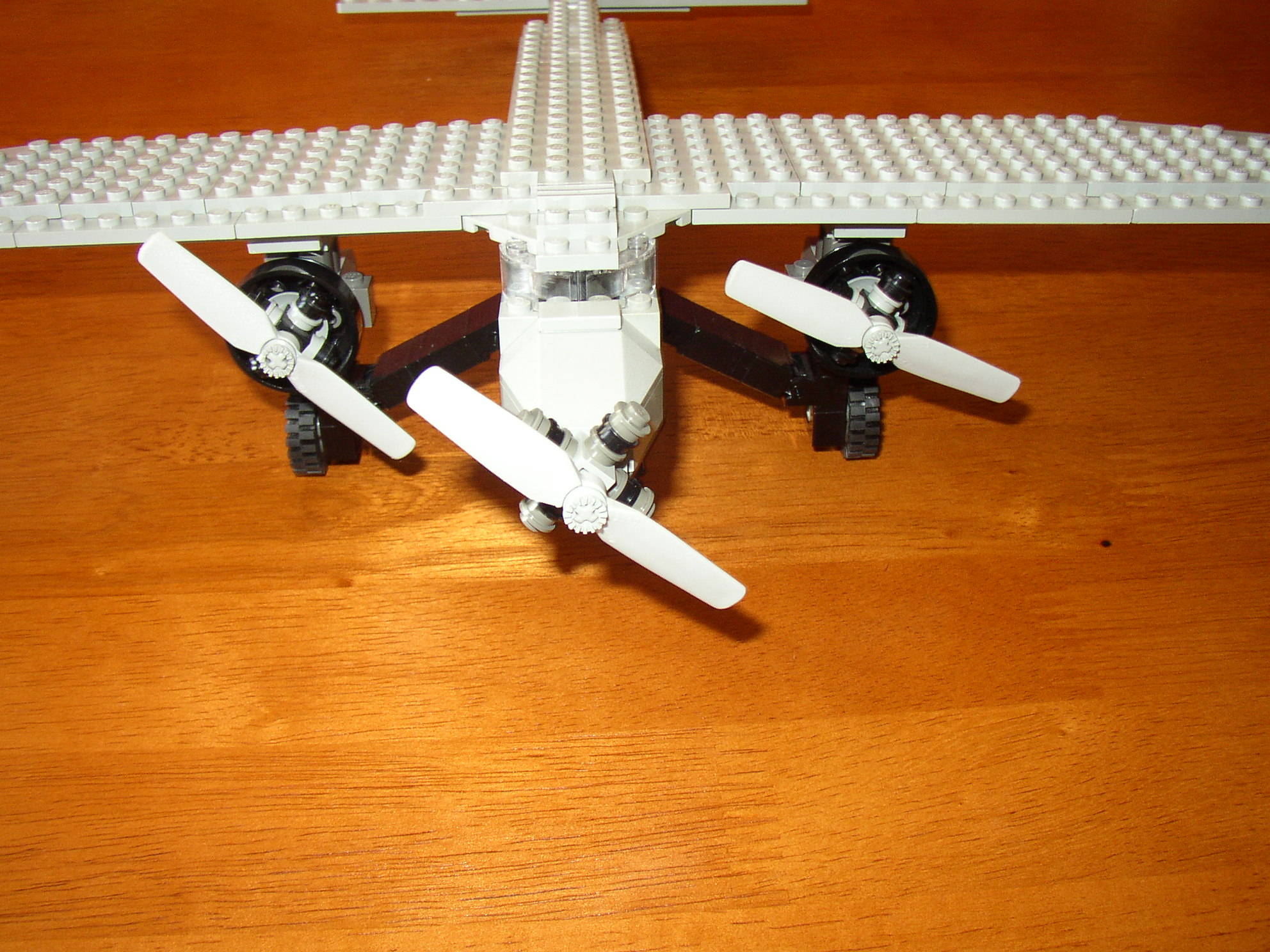 pa230107.jpg