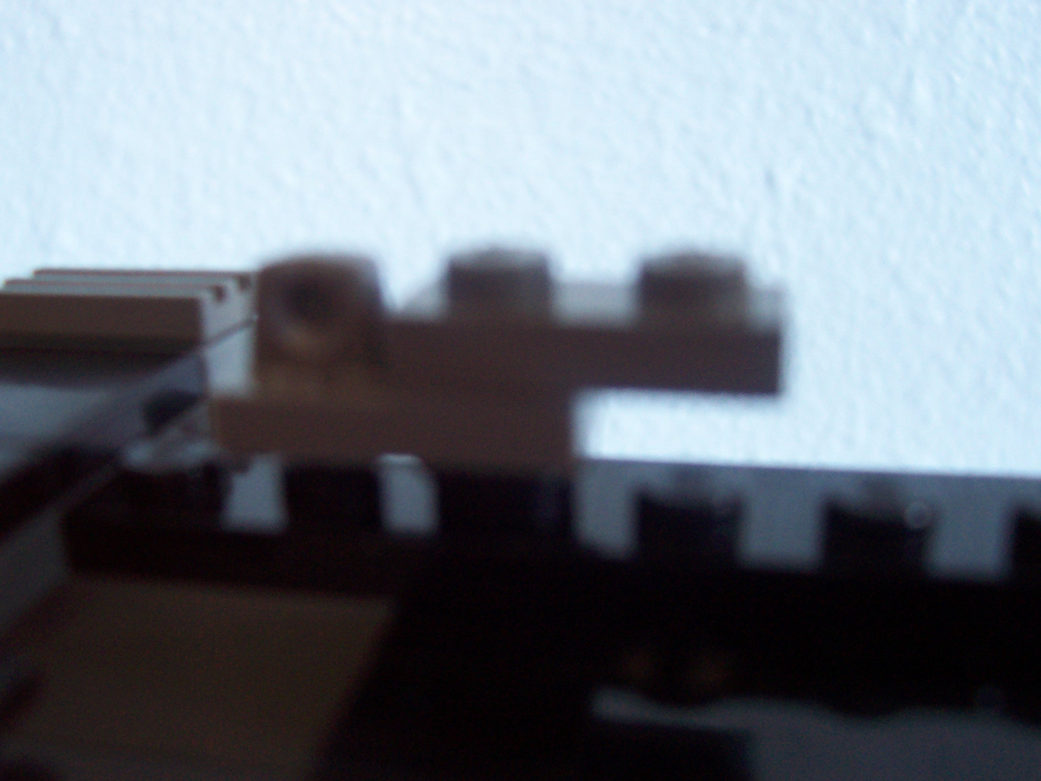 100_0498.jpg
