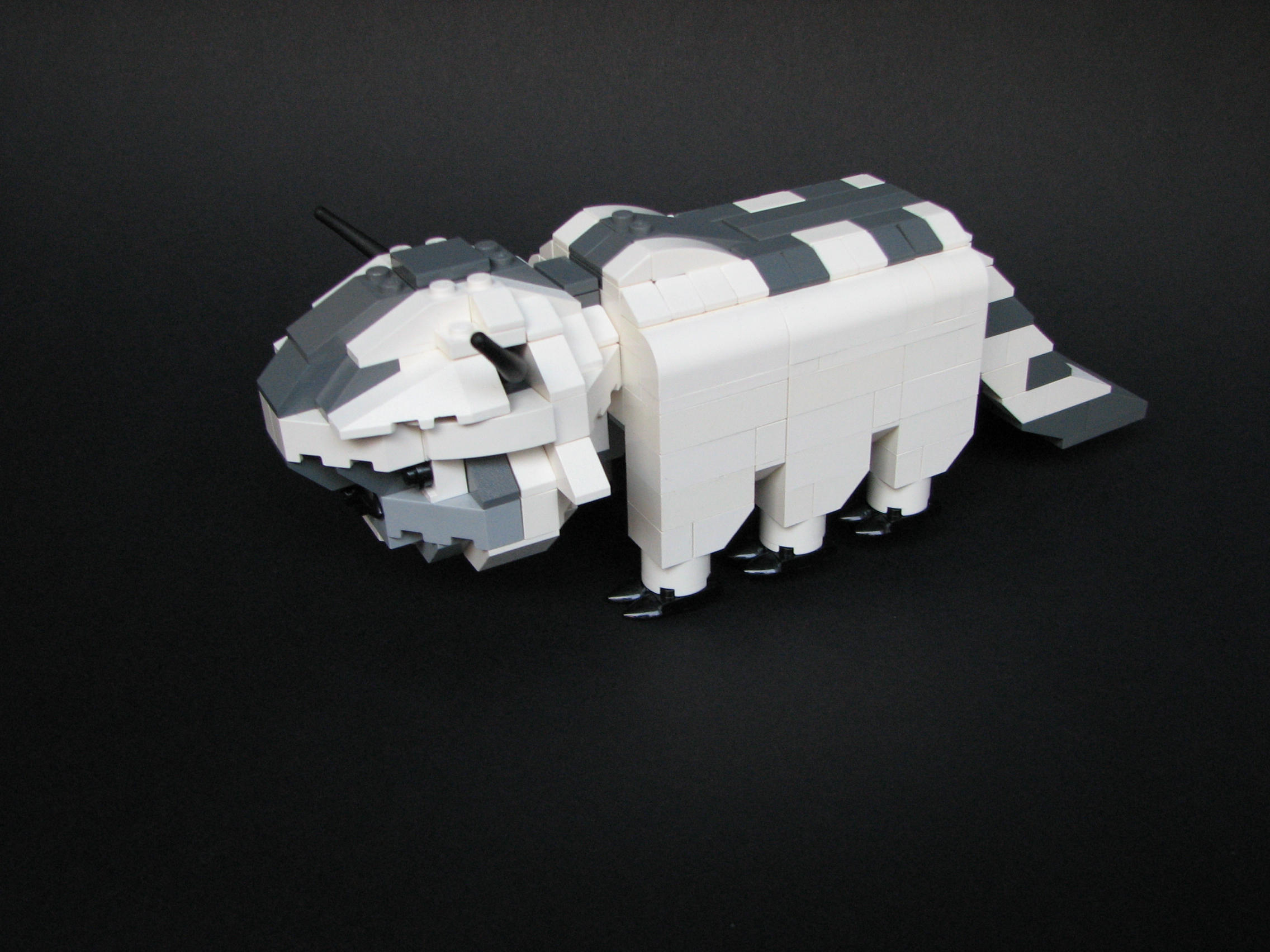 appa02.jpg
