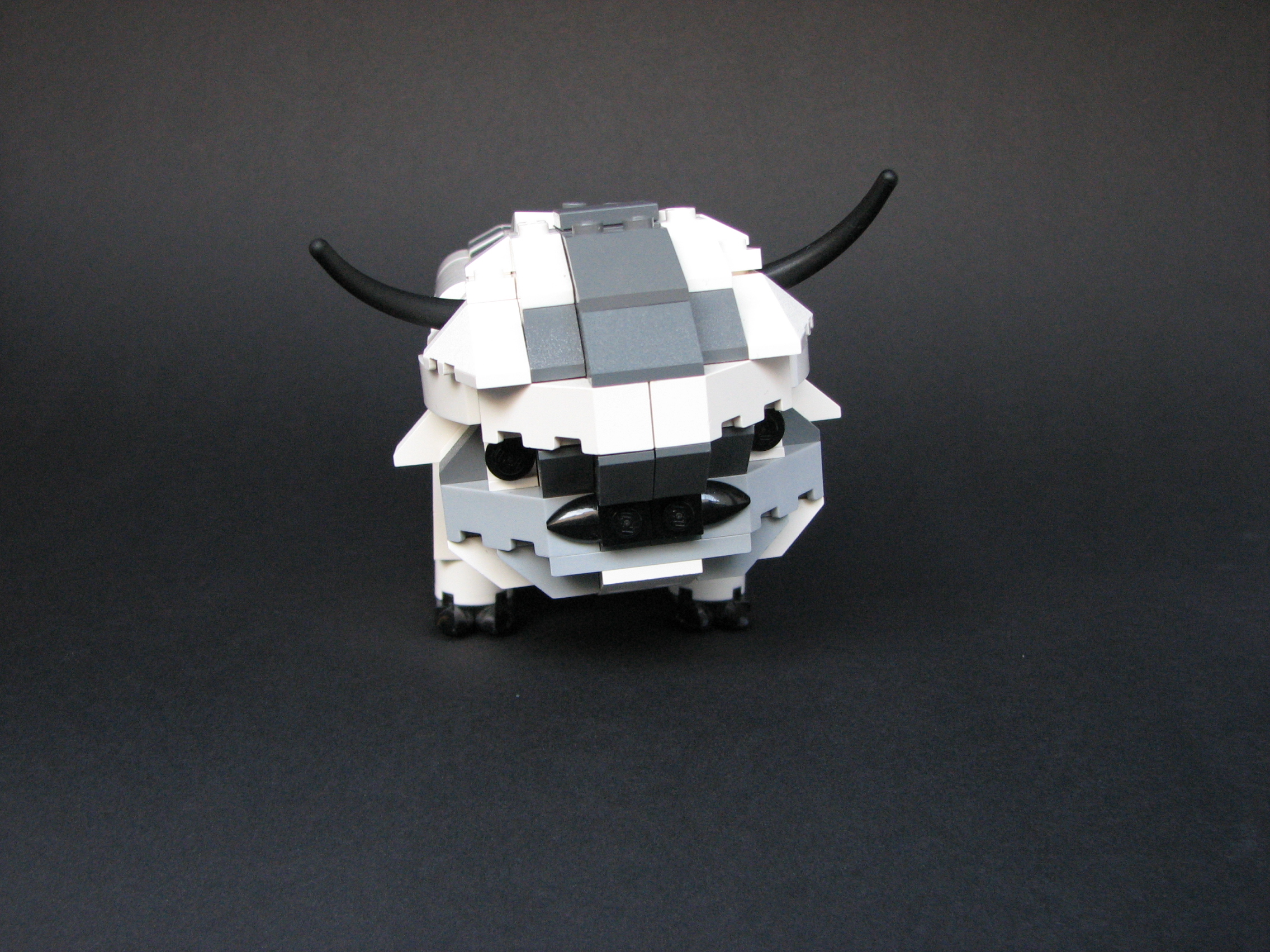 appa03.jpg