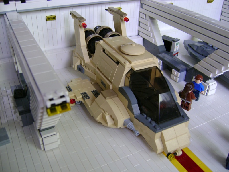 raptor01.jpg