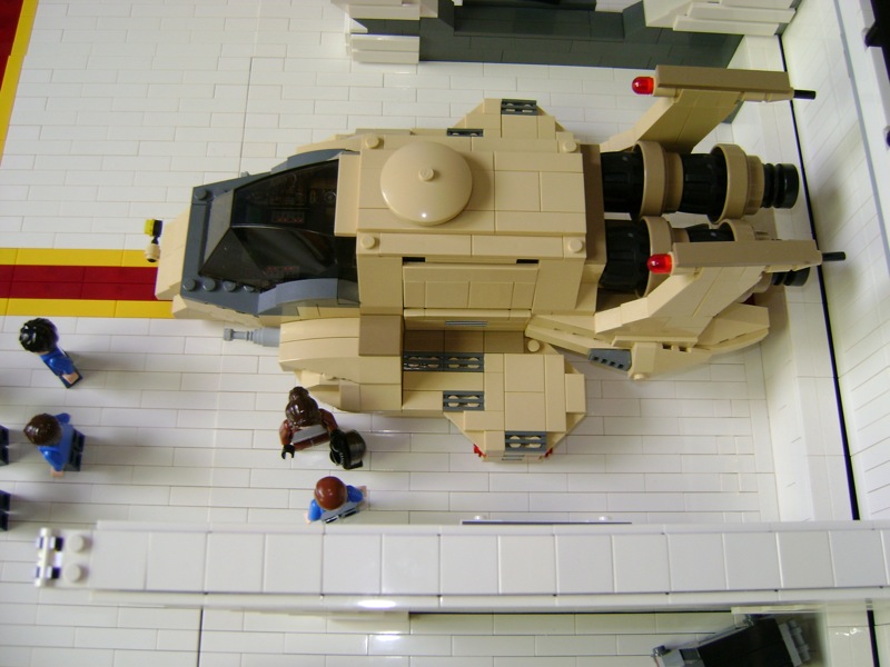 raptor03.jpg