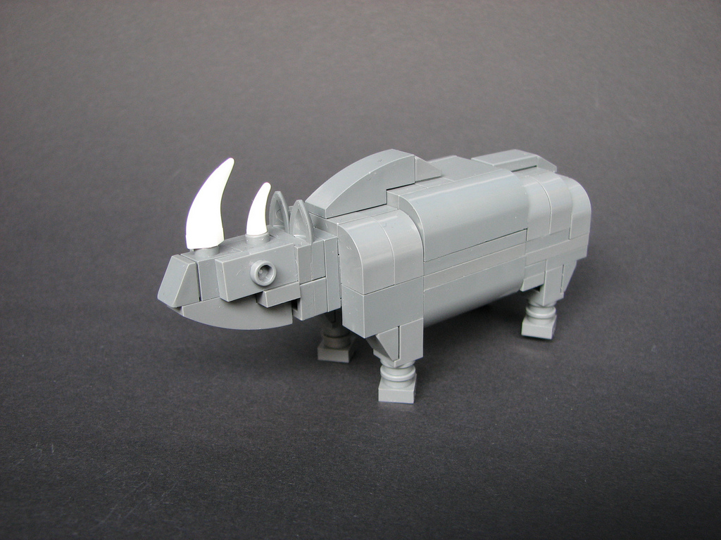 rhino01.jpg