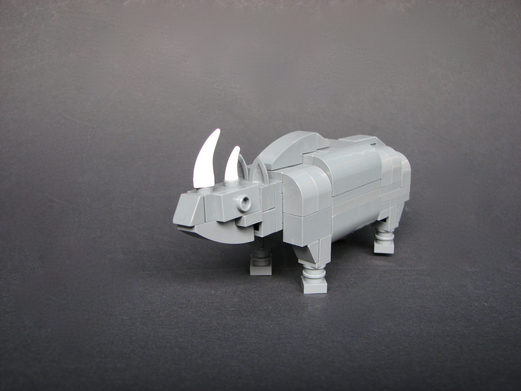 rhino02.jpg