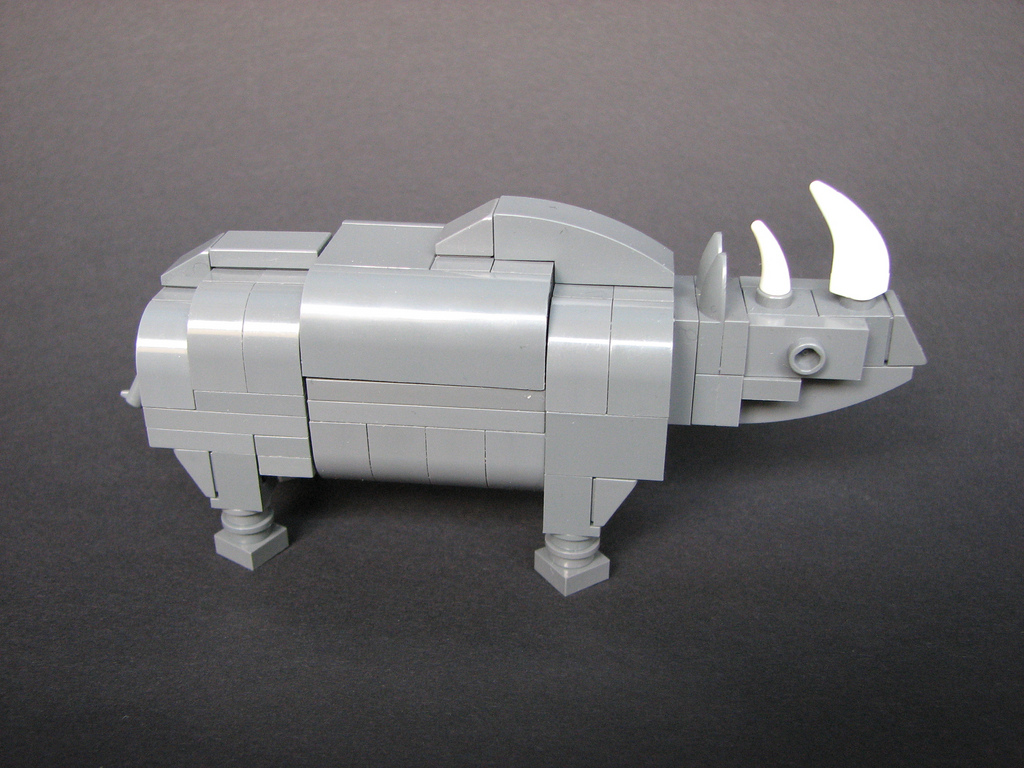 rhino03.jpg