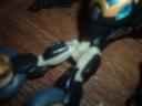 prowl