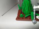 sdc11529.jpg