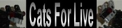catsforlife.jpg