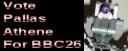 pallasbanner.jpg