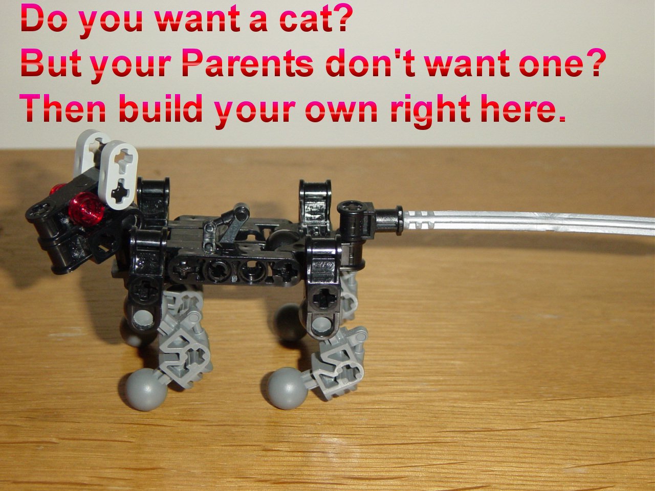 catbuilder001.jpg