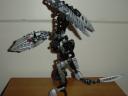 nui_raven_flight.jpg