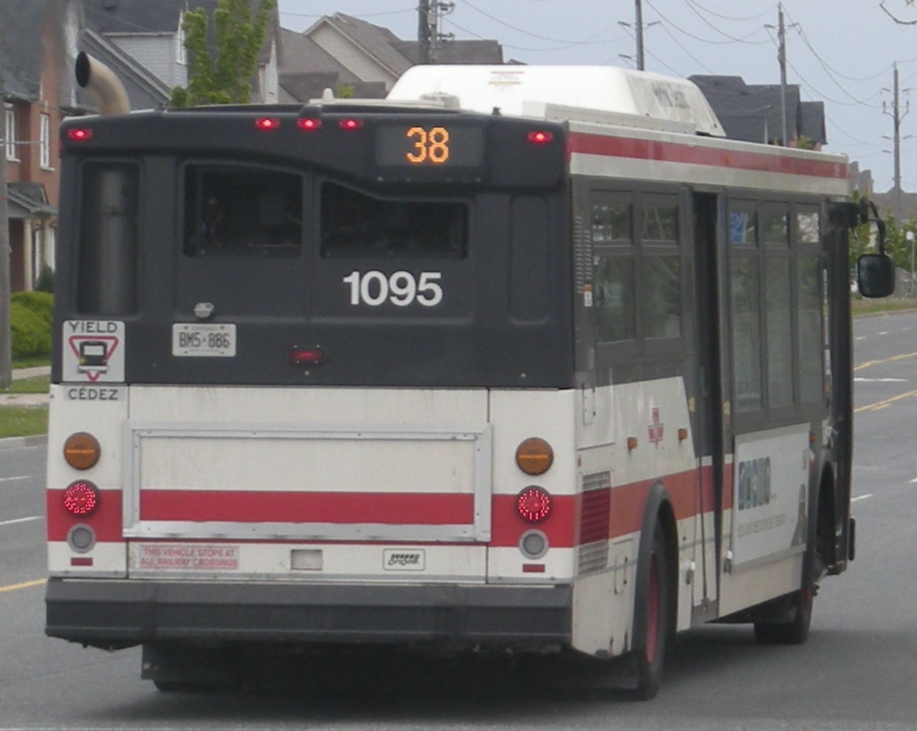 1095.jpg