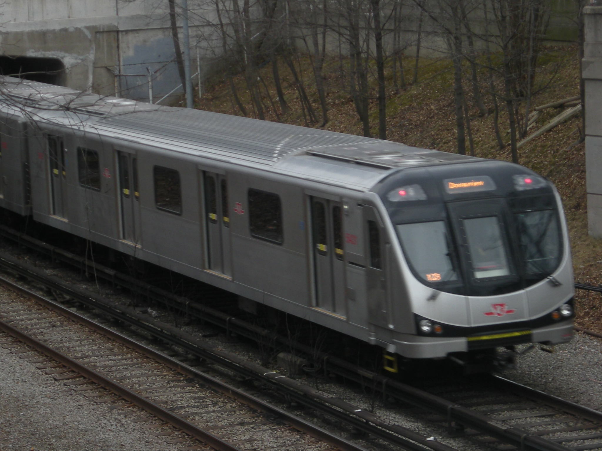 5431.jpg