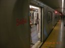 5464.jpg