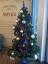 jk_xmas_03_s.jpg
