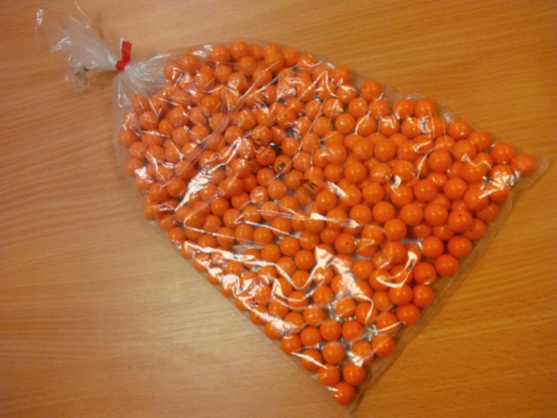 gbc_orange.jpg