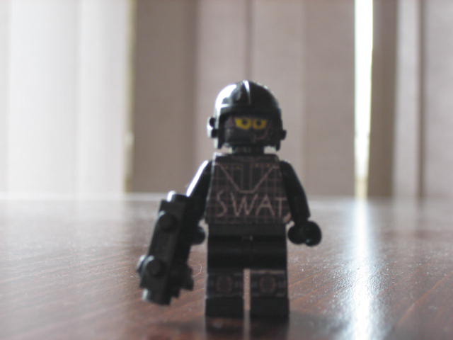 swat1.jpg