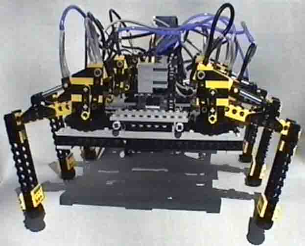 hexapod_study_12.jpg
