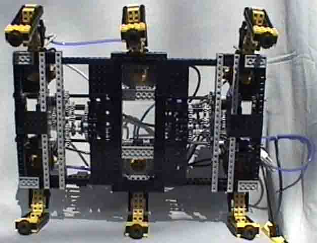 hexapod_study_13.jpg