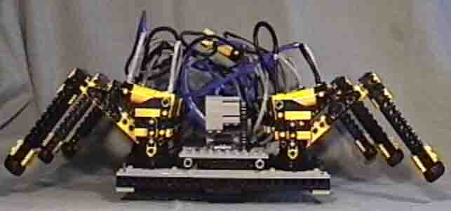 hexapod_study_23.jpg