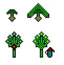 sy-nui_plants.png