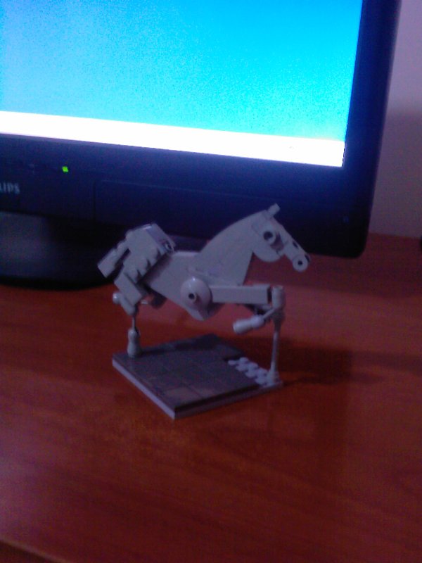 horse1.jpg