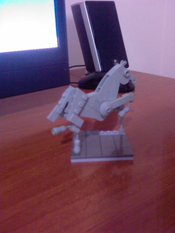 horse3.jpg