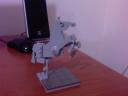 horse4.jpg