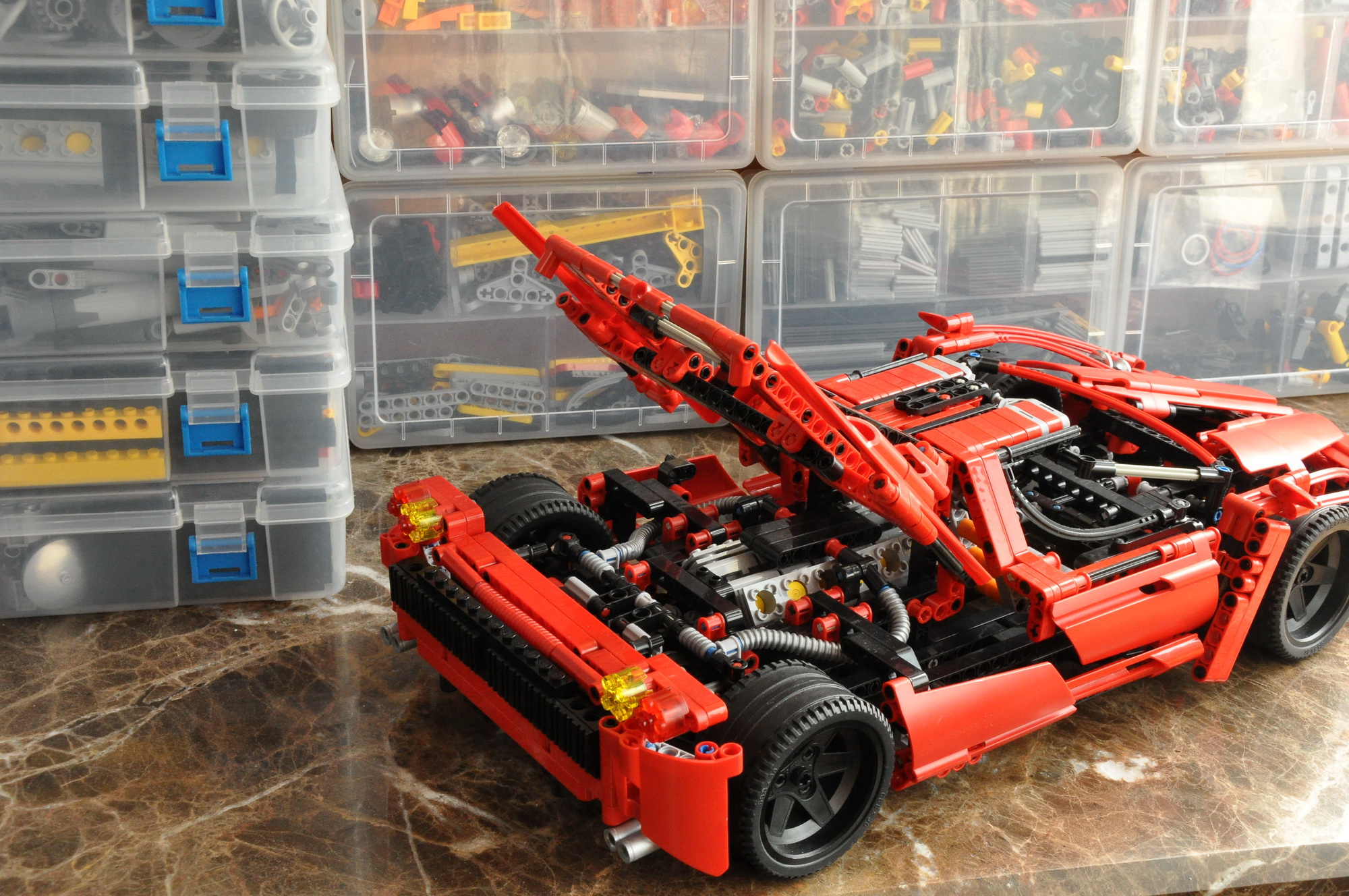 enzo_19.jpg