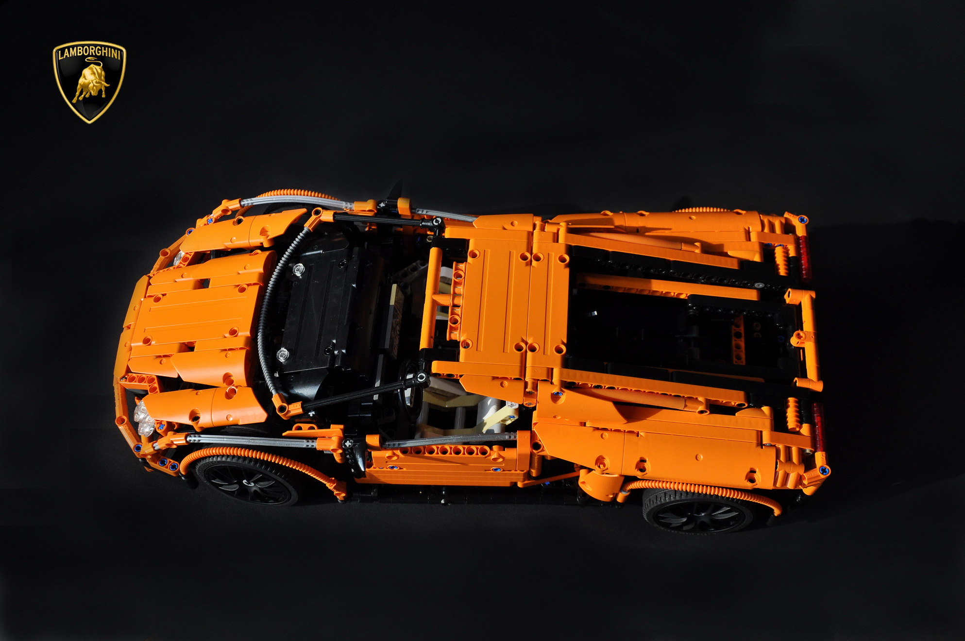 gallardo_03.jpg