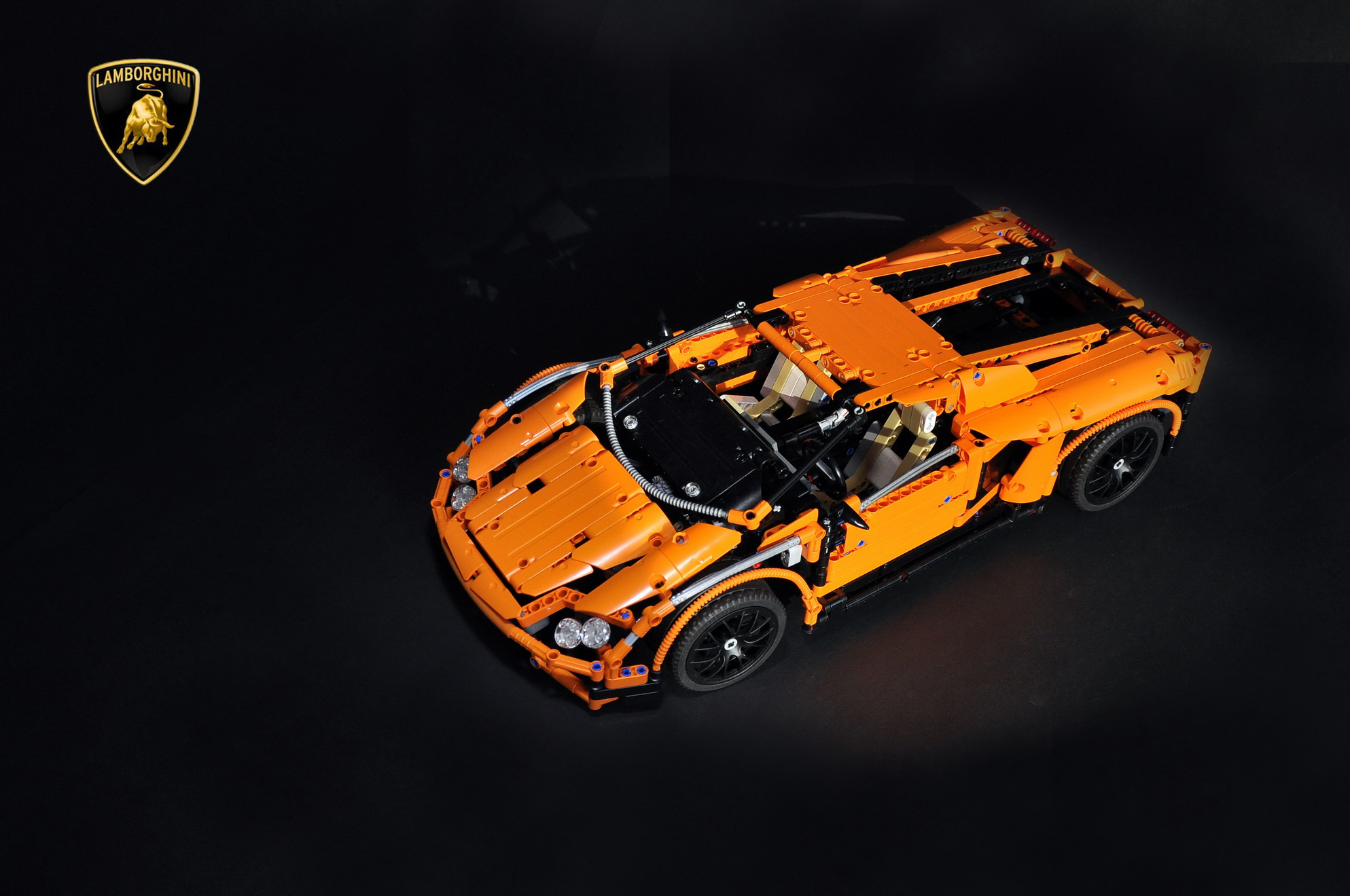 gallardo_12.jpg