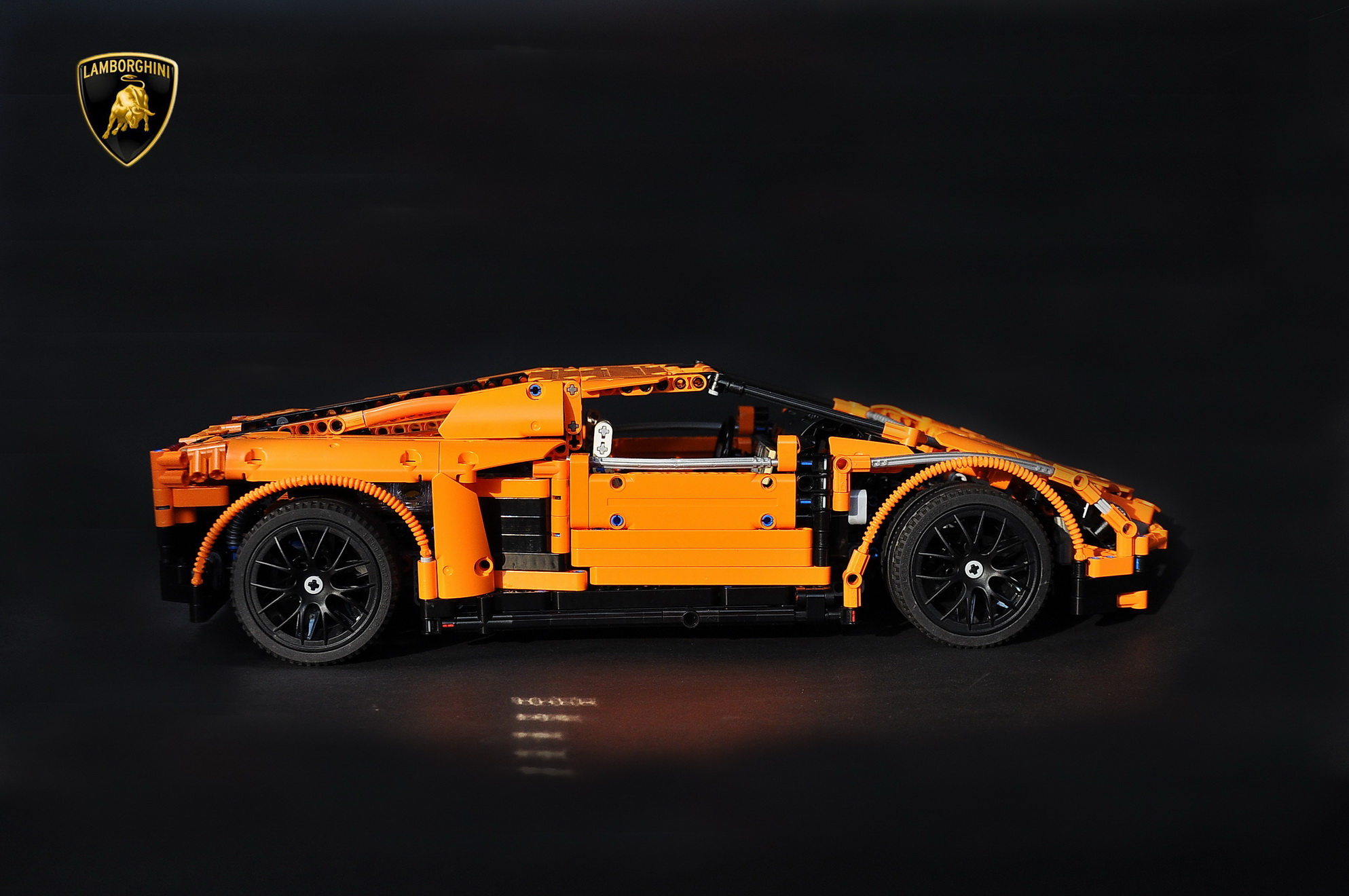 gallardo_14.jpg
