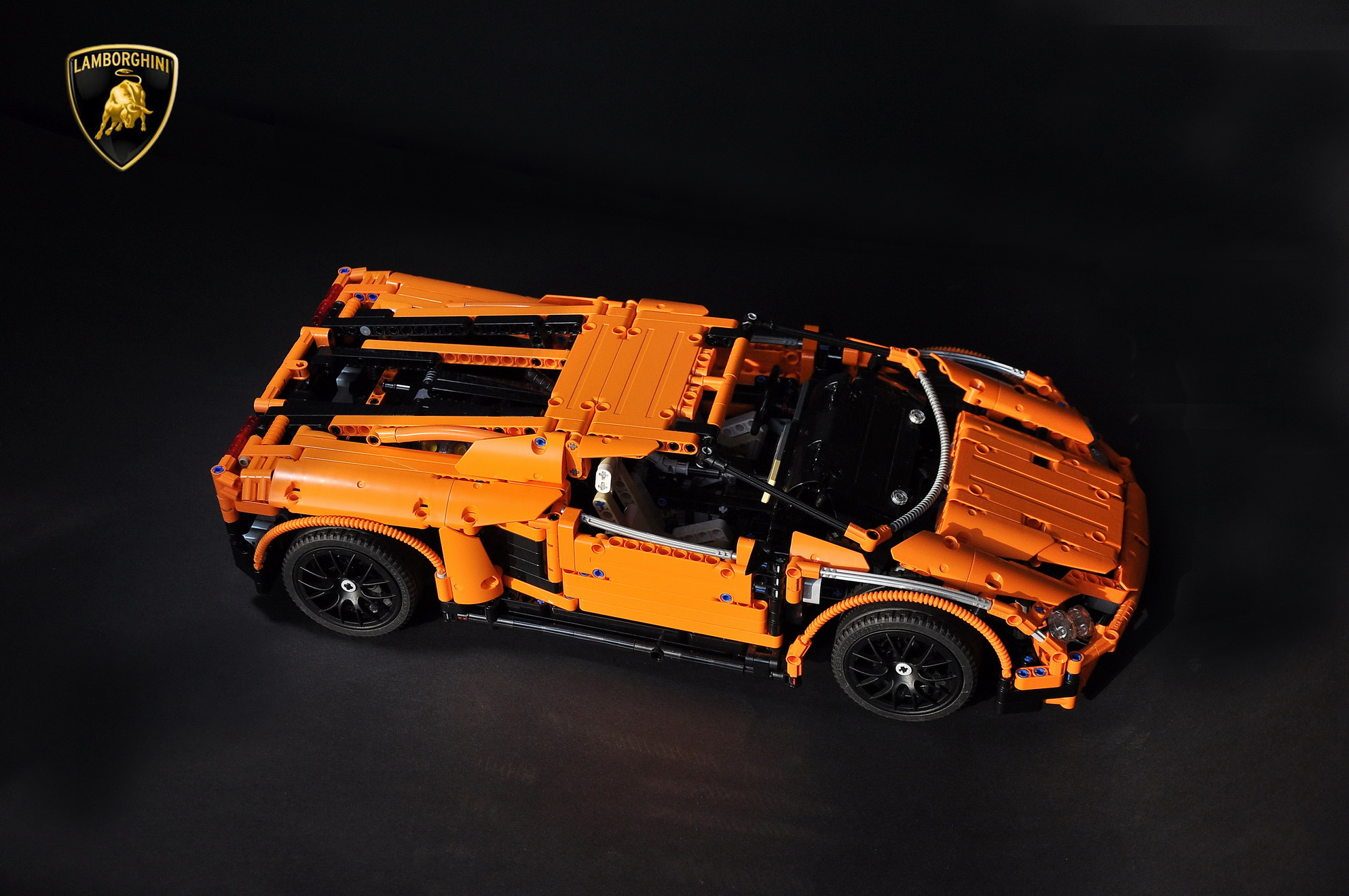 gallardo_15.jpg