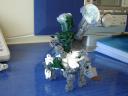 terrabot