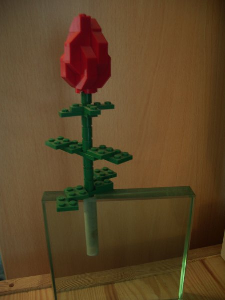 imgp9158_450x600.jpg