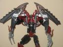 shadow_kapuru_007.jpg