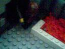 img016.jpg