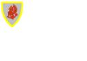 mydragtemplateshield2.bmp