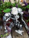 toa_dark_hunter_161.jpg