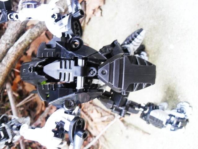 toa_dark_hunter_152.jpg