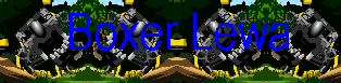 boxerlewabanner3.bmp