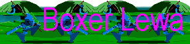 boxerlewabanner4.bmp