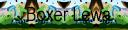 boxerlewabanner2.bmp