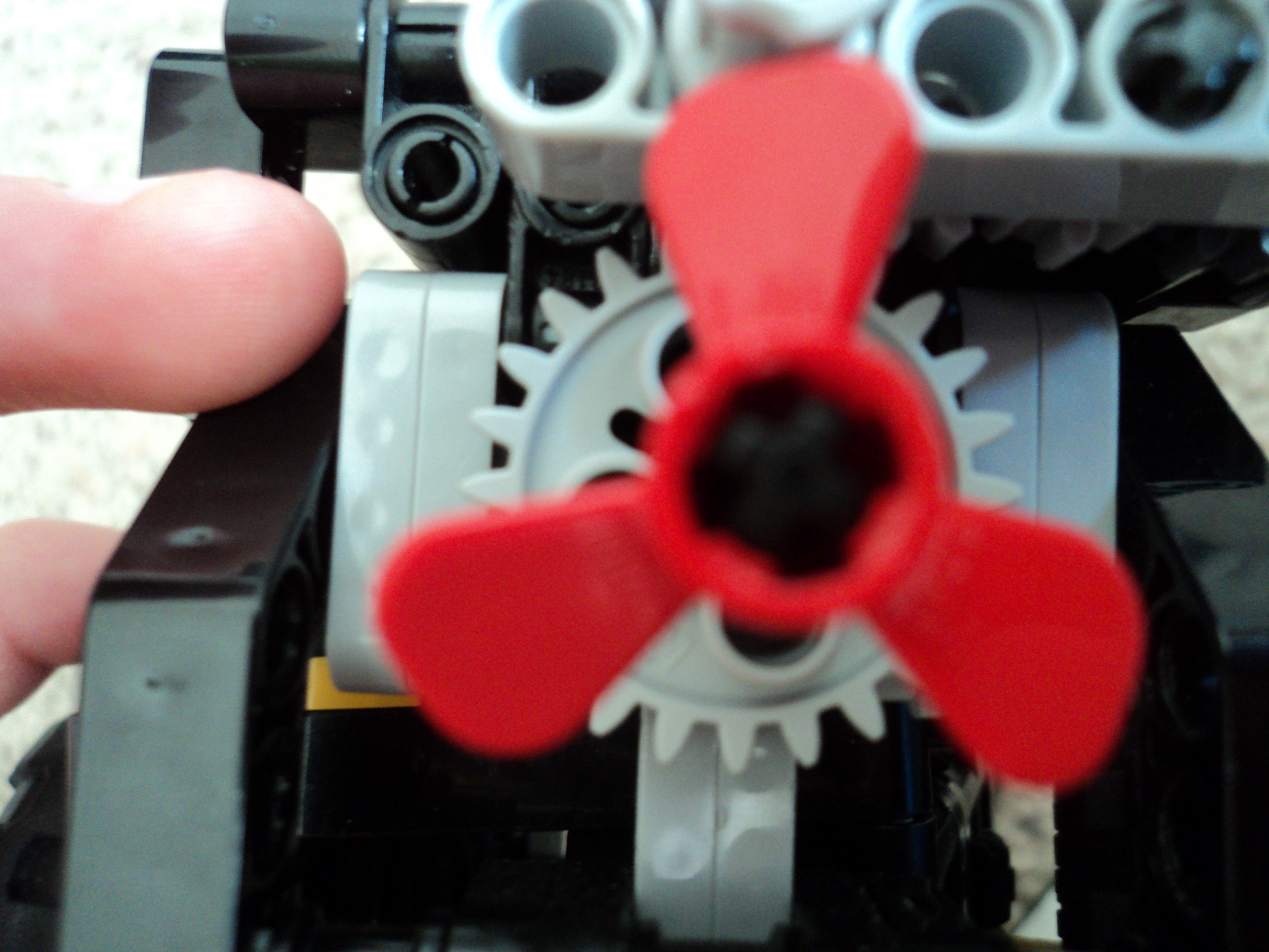 dsc00313.jpg