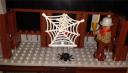 spider_web.jpg
