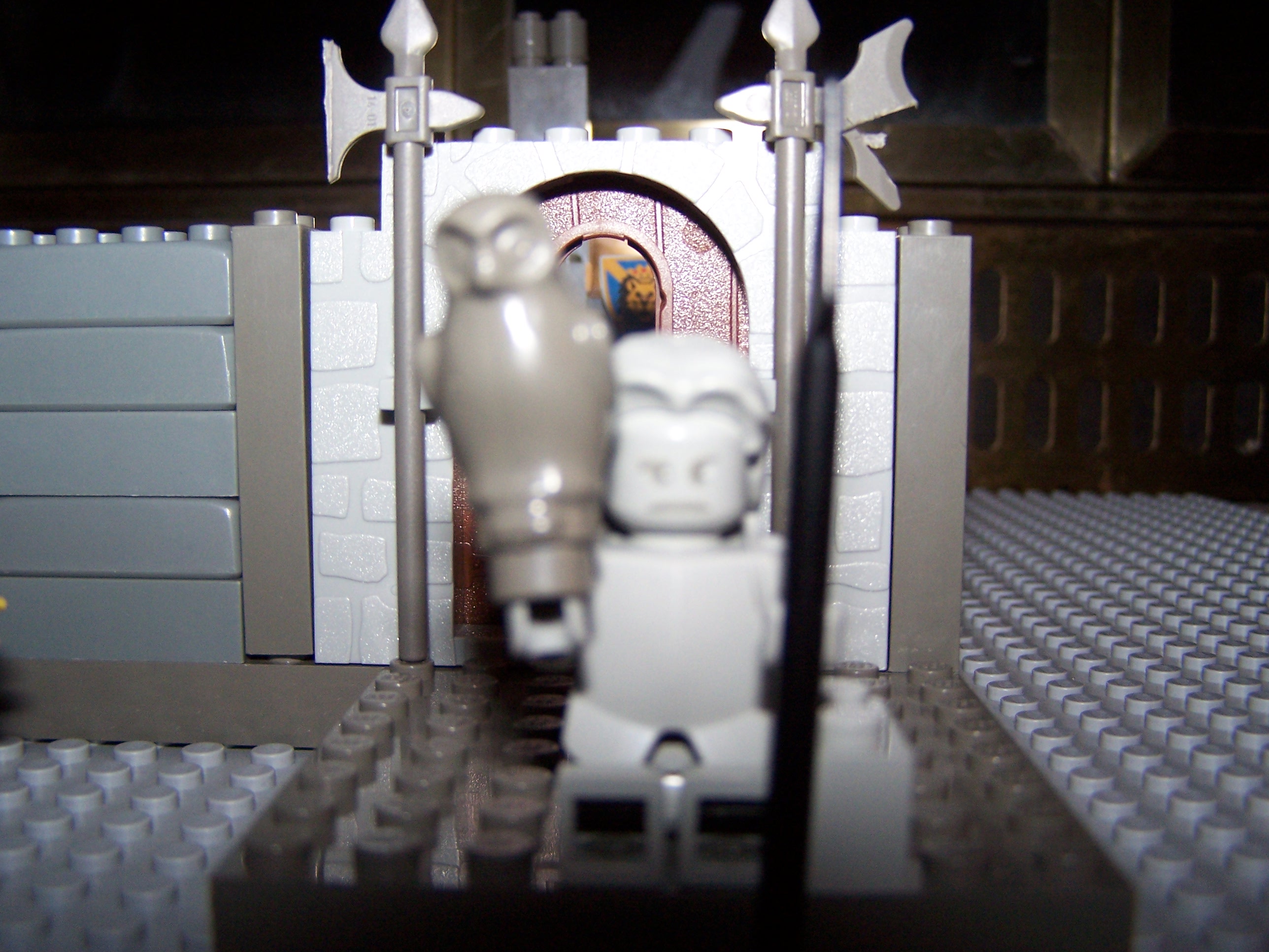 100_0357.jpg