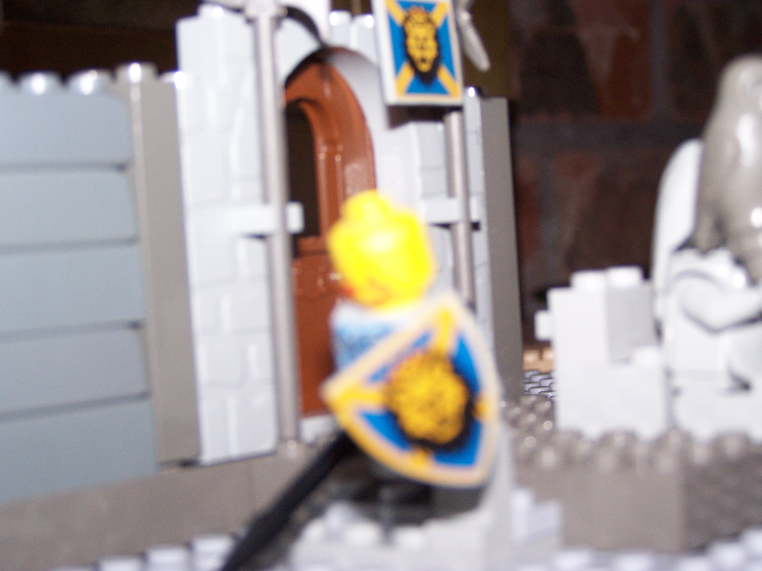 100_0361.jpg