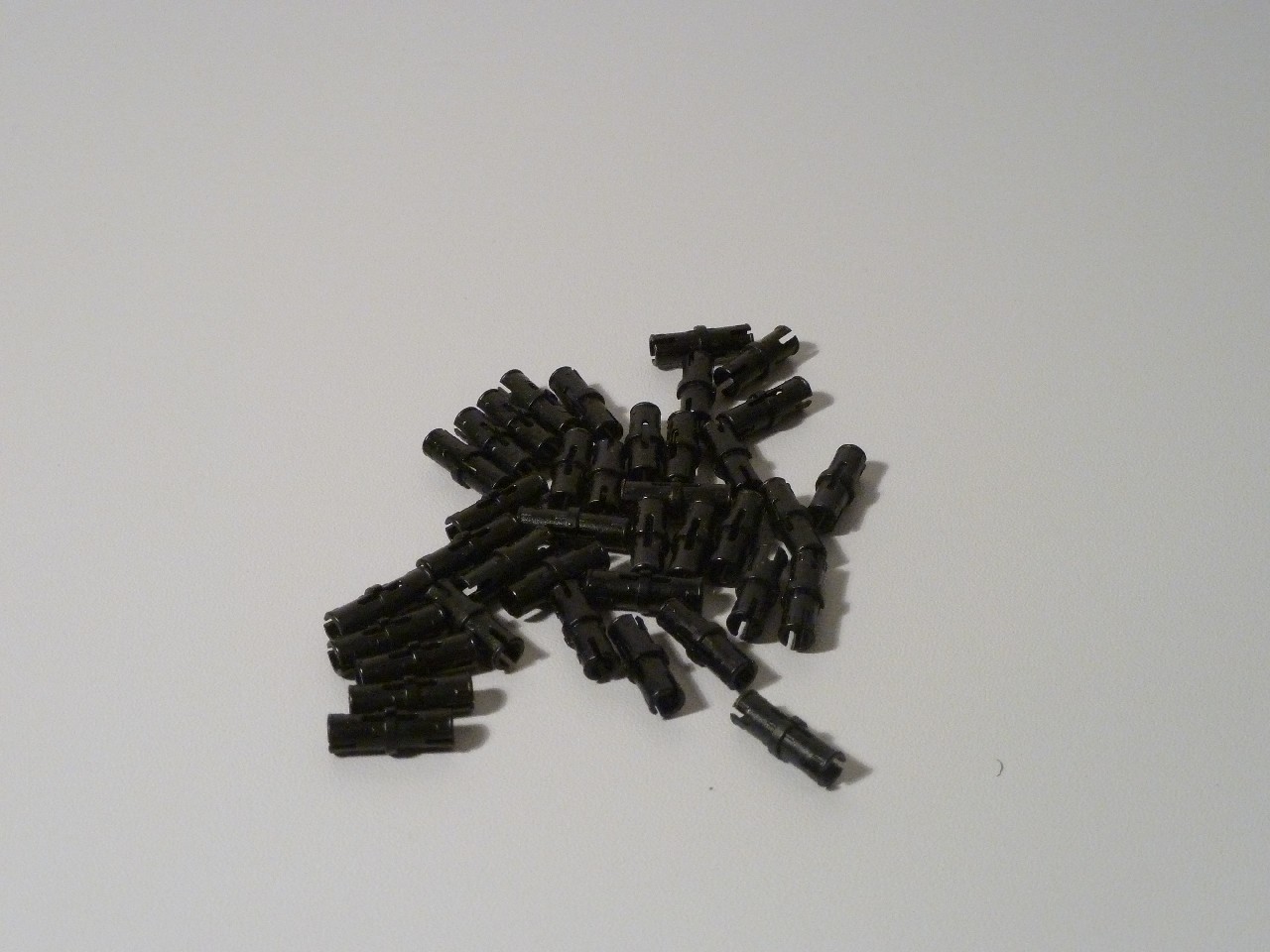 p1000315.jpg