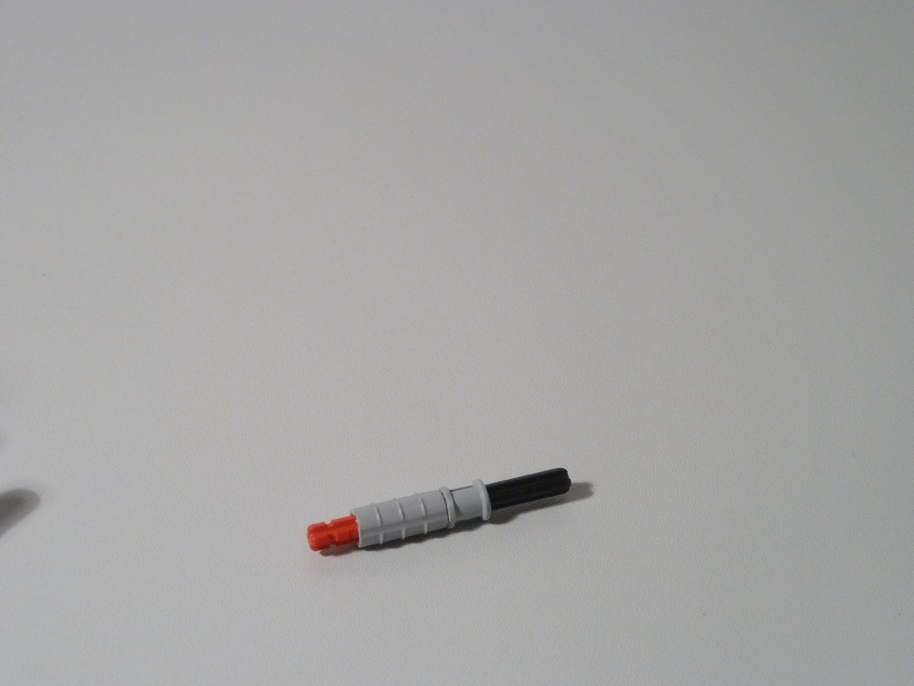 p1000352.jpg